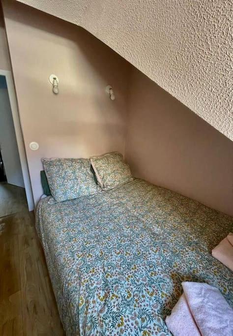 A 50M Du Centre & Des Telecabines, Nid Douillet Cauterets Dış mekan fotoğraf